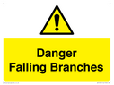 danger-falling-branches~
